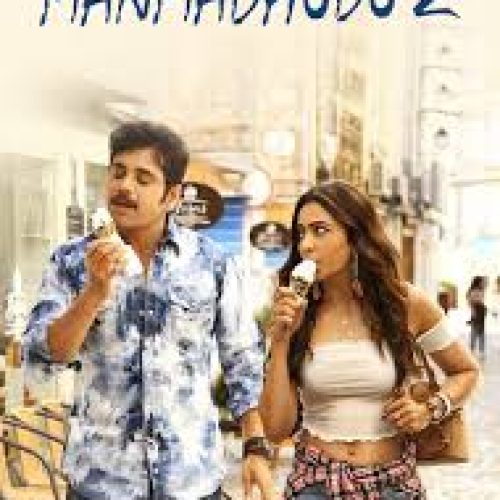 Manmadhudu 2